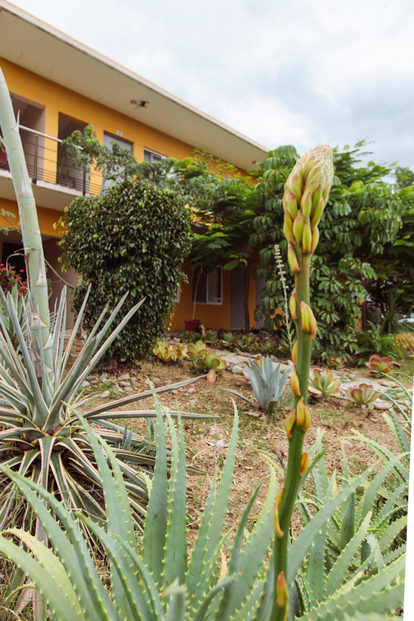 Hotel Guivá San Pablo Hacienda Blanca Exteriér fotografie